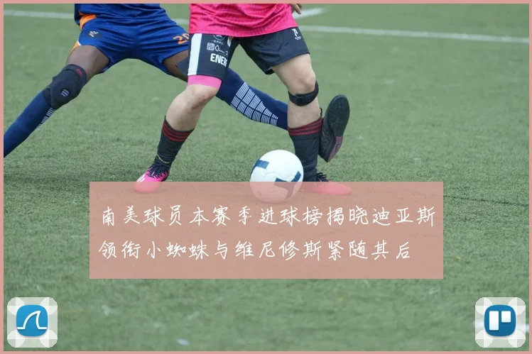 南美球员本赛季进球榜揭晓迪亚斯领衔小蜘蛛与维尼修斯紧随其后