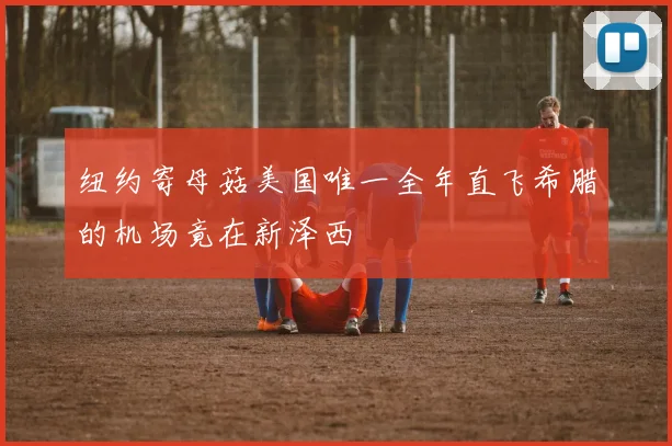 纽约寄母菇美国唯一全年直飞希腊的机场竟在新泽西